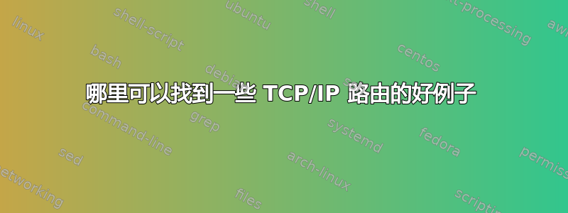 哪里可以找到一些 TCP/IP 路由的好例子