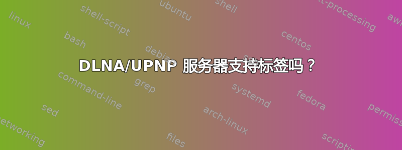 DLNA/UPNP 服务器支持标签吗？