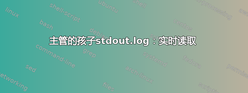 主管的孩子stdout.log：实时读取