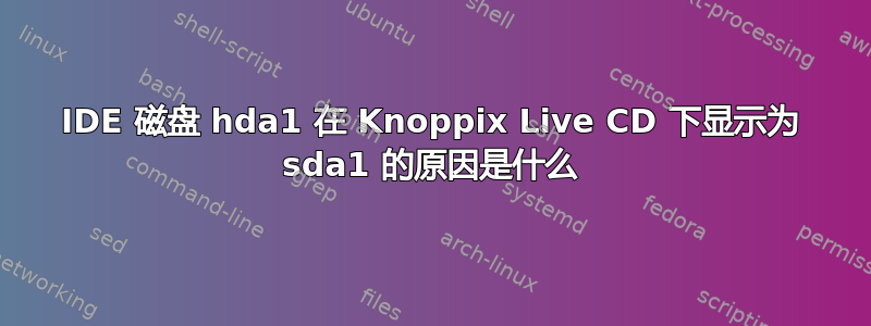 IDE 磁盘 hda1 在 Knoppix Live CD 下显示为 sda1 的原因是什么