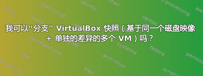 我可以“分支” VirtualBox 快照（基于同一个磁盘映像 + 单独的差异的多个 VM）吗？