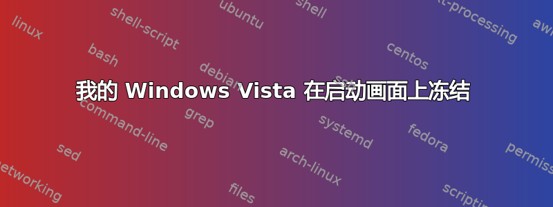 我的 Windows Vista 在启动画面上冻结