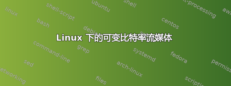 Linux 下的可变比特率流媒体