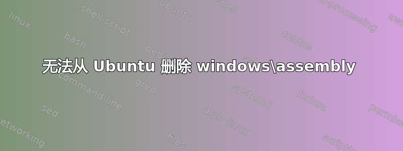 无法从 Ubuntu 删除 windows\assembly