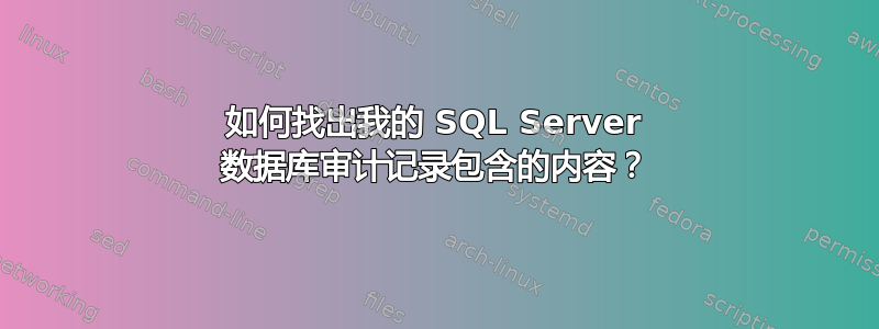 如何找出我的 SQL Server 数据库审计记录包含的内容？