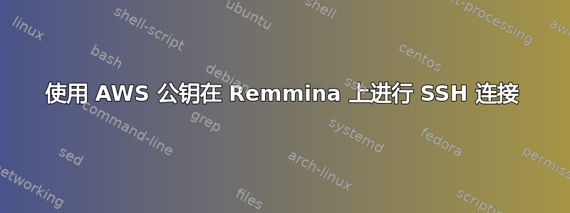 使用 AWS 公钥在 Remmina 上进行 SSH 连接