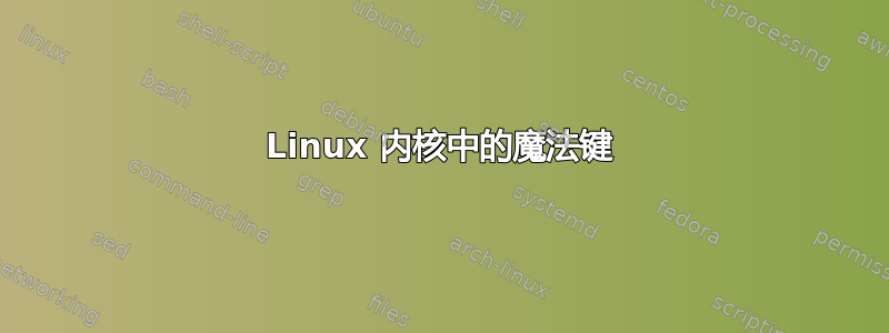 Linux 内核中的魔法键