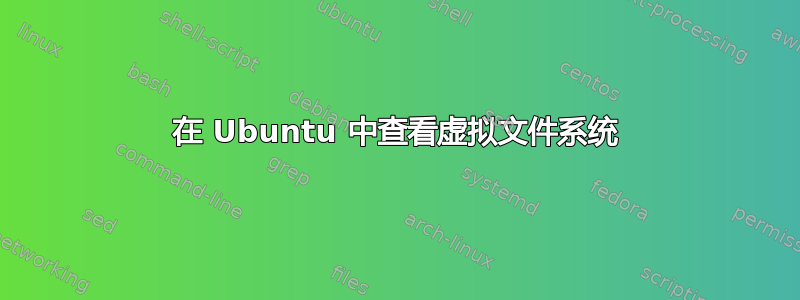 在 Ubuntu 中查看虚拟文件系统