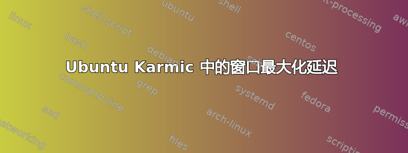 Ubuntu Karmic 中的窗口最大化延迟