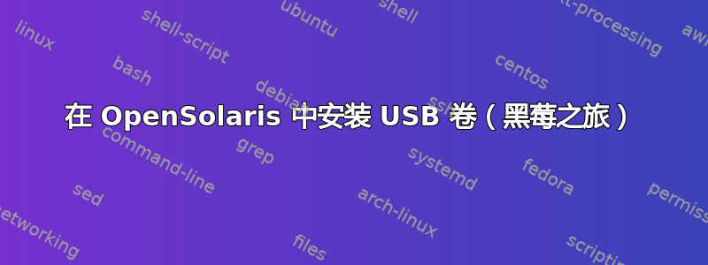 在 OpenSolaris 中安装 USB 卷（黑莓之旅）