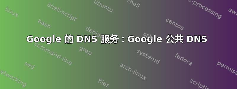 Google 的 DNS 服务：Google 公共 DNS