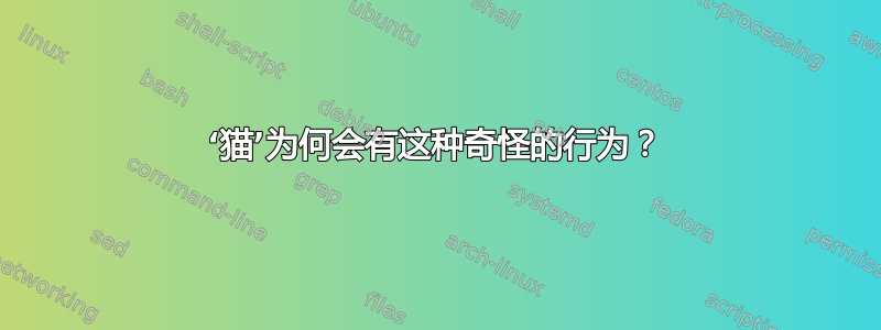 ‘猫’为何会有这种奇怪的行为？