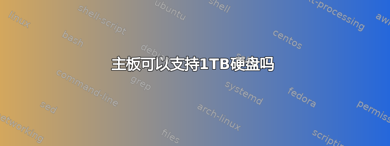 主板可以支持1TB硬盘吗