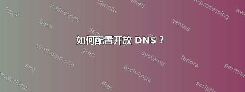 如何配置开放 DNS？