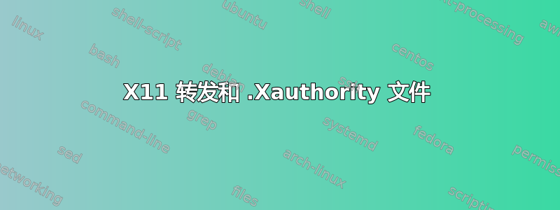 X11 转发和 .Xauthority 文件