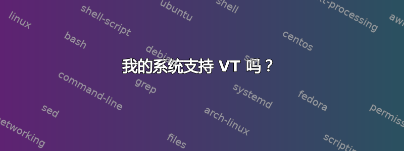 我的系统支持 VT 吗？