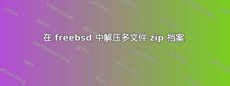 在 freebsd 中解压多文件 zip 档案