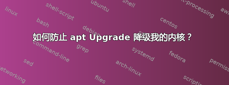 如何防止 apt Upgrade 降级我的内核？