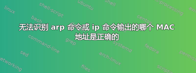 无法识别 arp 命令或 ip 命令输出的哪个 MAC 地址是正确的