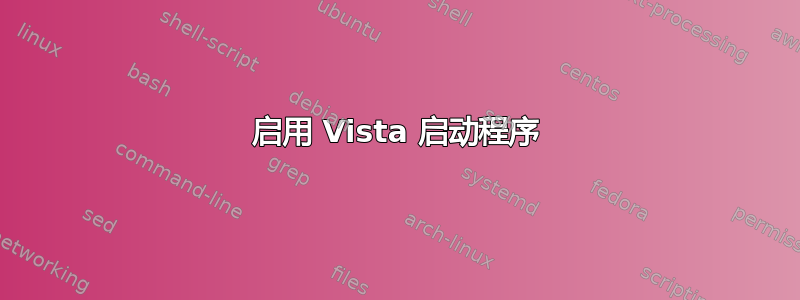 启用 Vista 启动程序