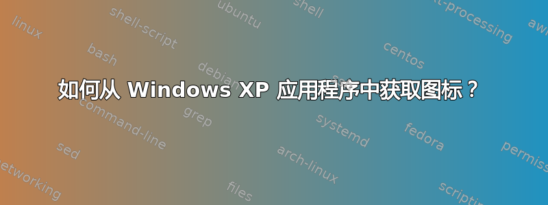 如何从 Windows XP 应用程序中获取图标？