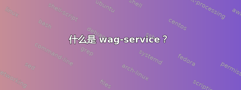 什么是 wag-service？