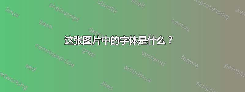 这张图片中的字体是什么？ 