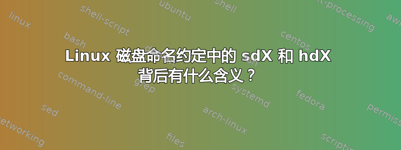 Linux 磁盘命名约定中的 sdX 和 hdX 背后有什么含义？