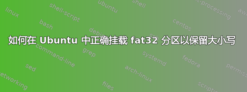 如何在 Ubuntu 中正确挂载 fat32 分区以保留大小写