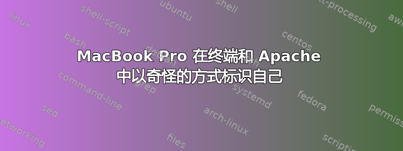 MacBook Pro 在终端和 Apache 中以奇怪的方式标识自己