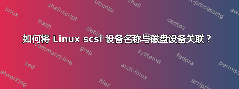 如何将 Linux scsi 设备名称与磁盘设备关联？