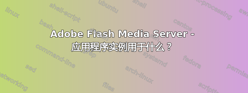 Adobe Flash Media Server - 应用程序实例用于什么？