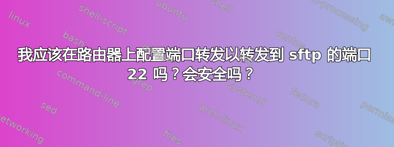 我应该在路由器上配置端口转发以转发到 sftp 的端口 22 吗？会安全吗？ 