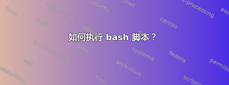 如何执行 bash 脚本？