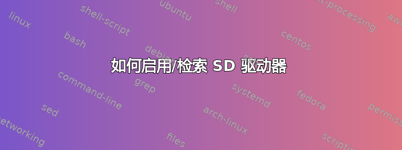 如何启用/检索 SD 驱动器