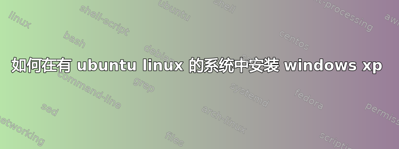 如何在有 ubuntu linux 的系统中安装 windows xp