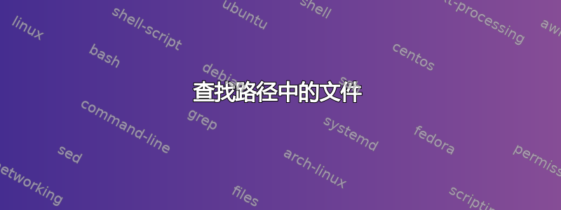 查找路径中的文件