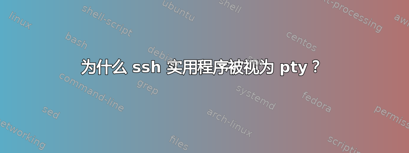 为什么 ssh 实用程序被视为 pty？