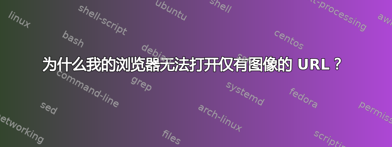 为什么我的浏览器无法打开仅有图像的 URL？