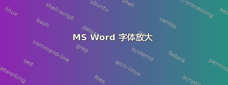 MS Word 字体放大