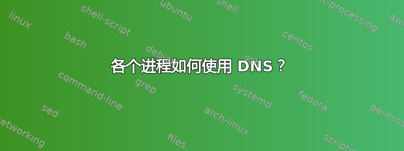 各个进程如何使用 DNS？