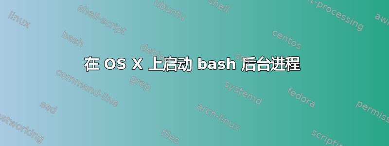 在 OS X 上启动 bash 后台进程