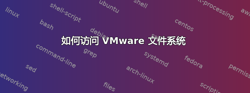 如何访问 VMware 文件系统