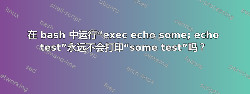 在 bash 中运行“exec echo some; echo test”永远不会打印“some test”吗？