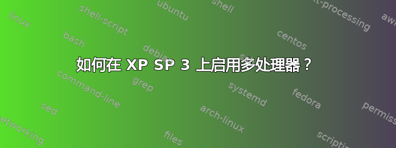 如何在 XP SP 3 上启用多处理器？