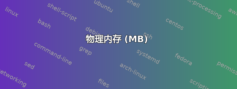 物理内存 (MB)