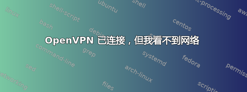 OpenVPN 已连接，但我看不到网络