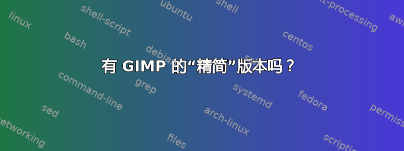 有 GIMP 的“精简”版本吗？