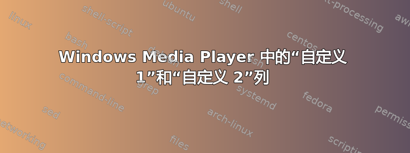 Windows Media Player 中的“自定义 1”和“自定义 2”列