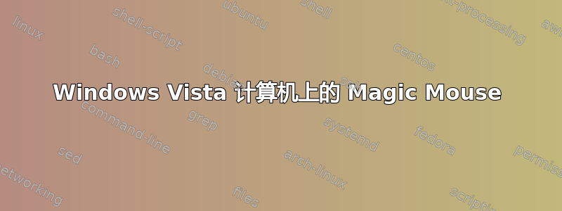 Windows Vista 计算机上的 Magic Mouse